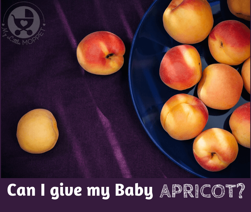 Can I give my Baby Apricot?