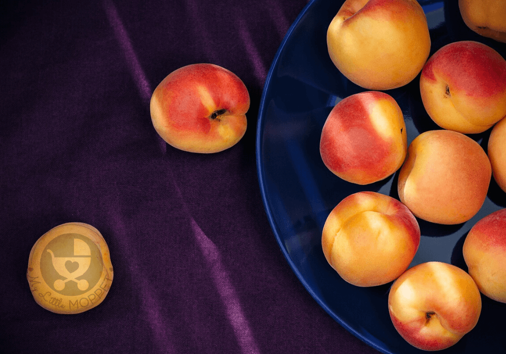 If you've ever eaten an apricot, you know how delicious it can be! When you consider its nutrient profile too, you may ask: Can I give my Baby Apricot?