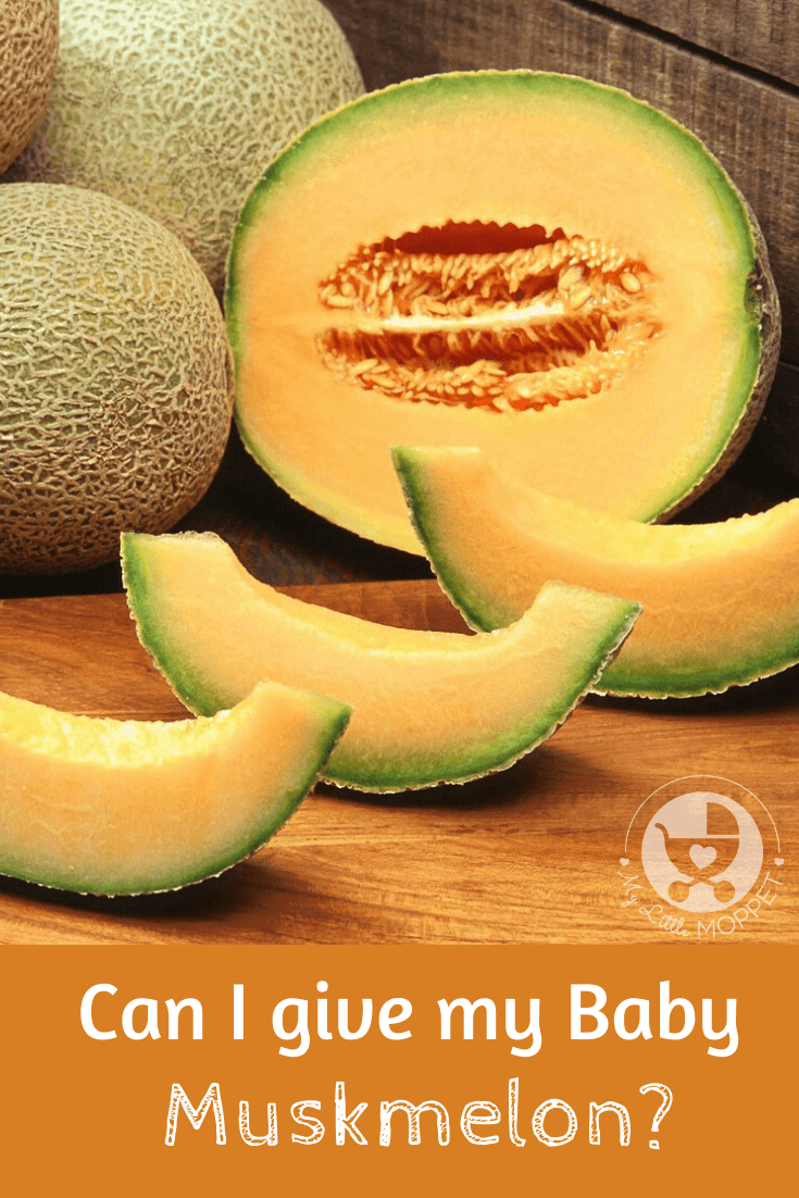 With lots of nutrients, muskmelon is one of the healthiest fruits. But Can I give my baby muskmelon? Let's find out about this and more.