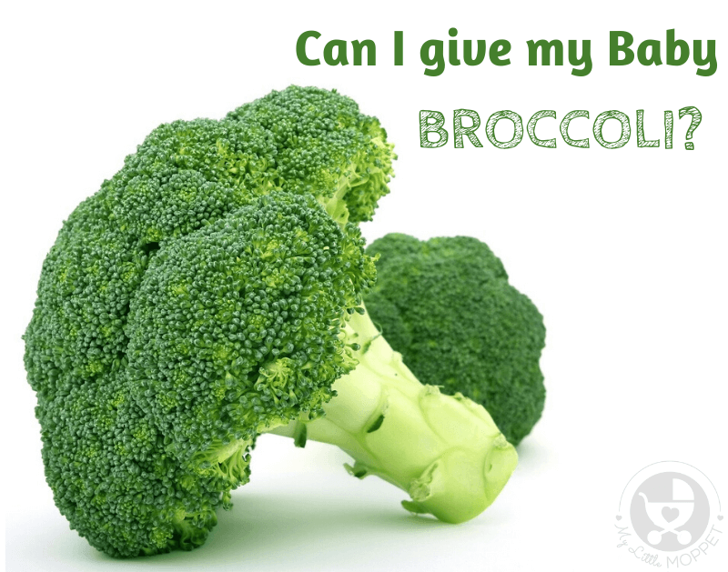 Can I give my Baby Broccoli?