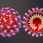 With the Coronavirus infection spreading, we need to be armed with information about it. Here's everything you need to know about the Novel Coronavirus.