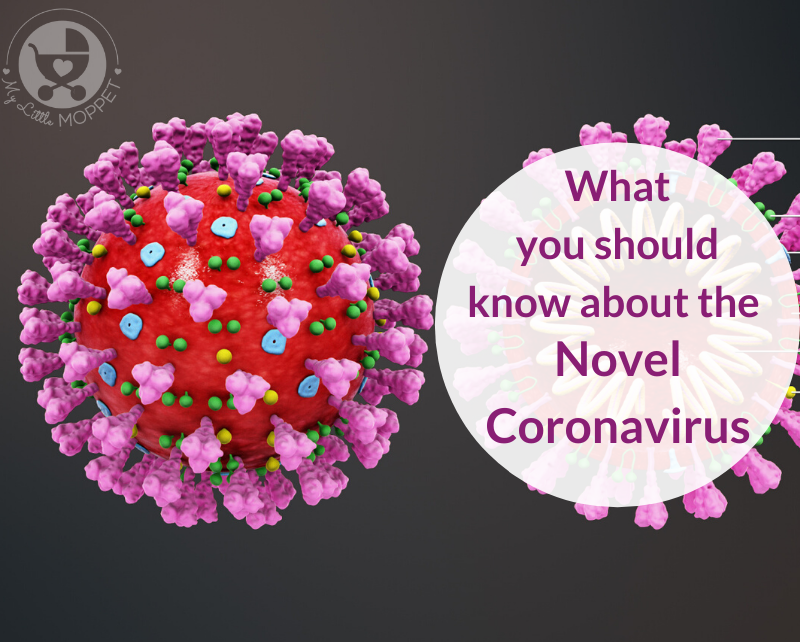 With the Coronavirus infection spreading, we need to be armed with information about it. Here's everything you need to know about the Novel Coronavirus.