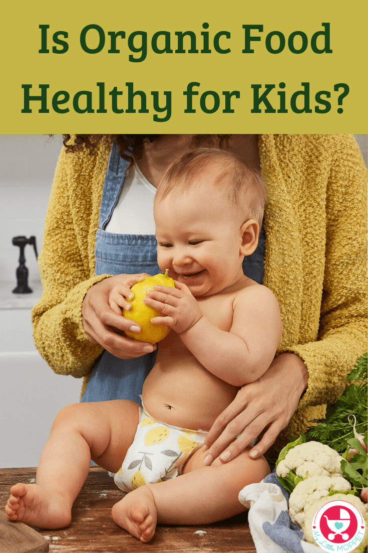 There is a lot of buzz about organic foods, leaving parents confused. Is Organic Food Healthy for Kids? Find out all about organic food in this article.