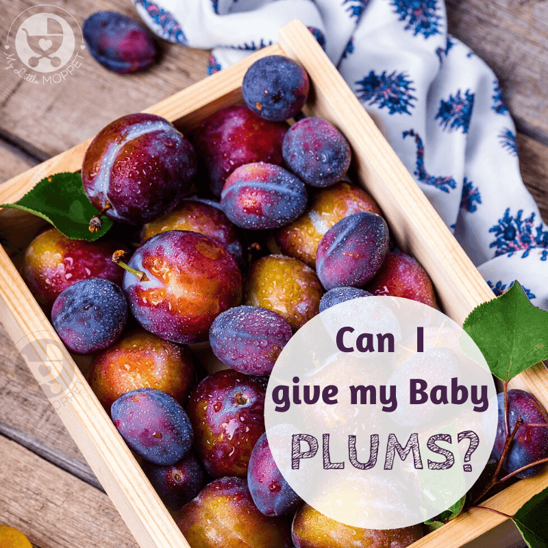 Everyone loves a nice, ripe, juicy plum, especially since it's packed with nutrients. Today, we look at plums and babies - can I give my baby plums?