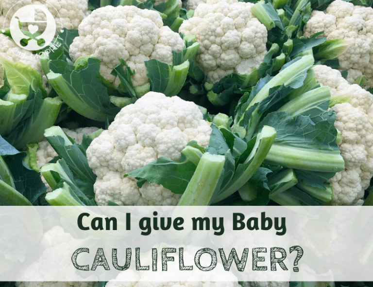 Family and Parenting Can I give my Baby Cauliflower?