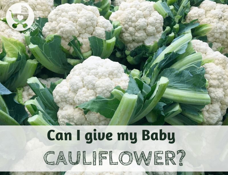 Can I give my Baby Cauliflower?