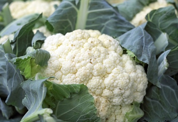 Cauliflower has become quite popular across the world nowadays, but when it comes to introducing it to babies, parents are confused: Can I give my baby cauliflower?