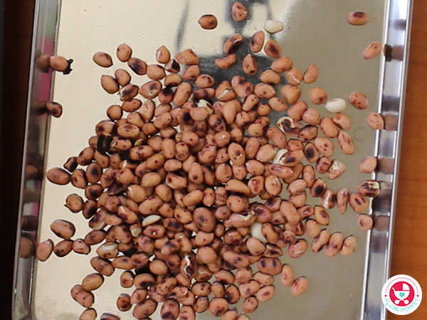 Peanut Ladoo for Kids [No Sugar Groundnut Ladoo Recipe]