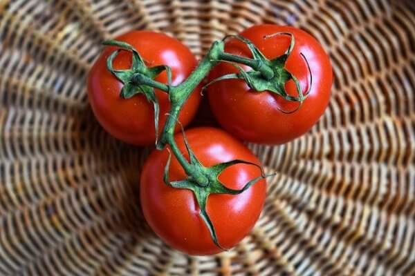 Whether you consider it a fruit or vegetable, there's no doubt that tomatoes are super healthy. So now the question is this: Can I give my Baby Tomatoes?