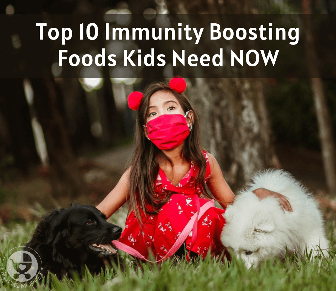 With viruses on the rampage, it's crucial to ensure that your family has the best defenses. Here are the Top 10 Immunity Boosting Foods Kids Need NOW.