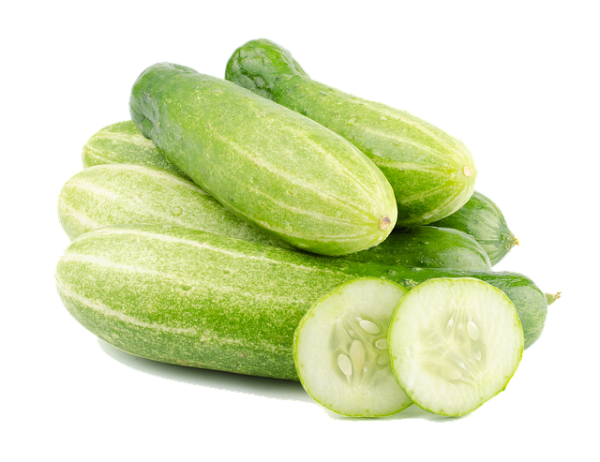Cucumbers are cooling and refreshing, making them perfect for summers. However, the important question among parents is this: Can I give my Baby Cucumber?