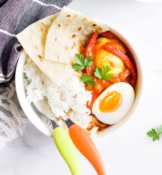 Give your little one the best of Indian cuisine with these Healthy Curry Recipes for Babies and Kids! Includes both vegetarian and non vegetarian options!