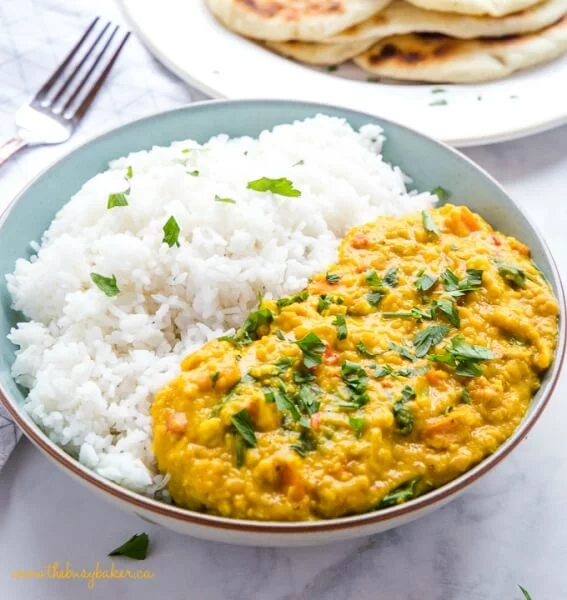 Give your little one the best of Indian cuisine with these Healthy Curry Recipes for Babies and Kids! Includes both vegetarian and non vegetarian options!
