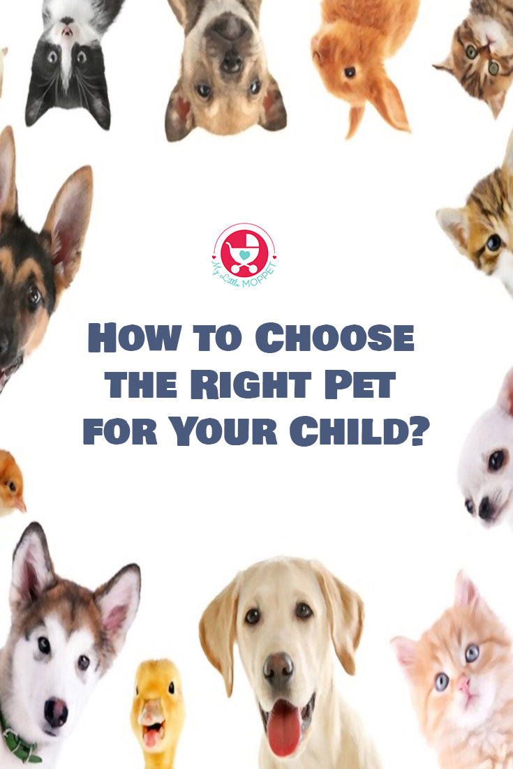 How to Choose the Right Pet for Your Child?