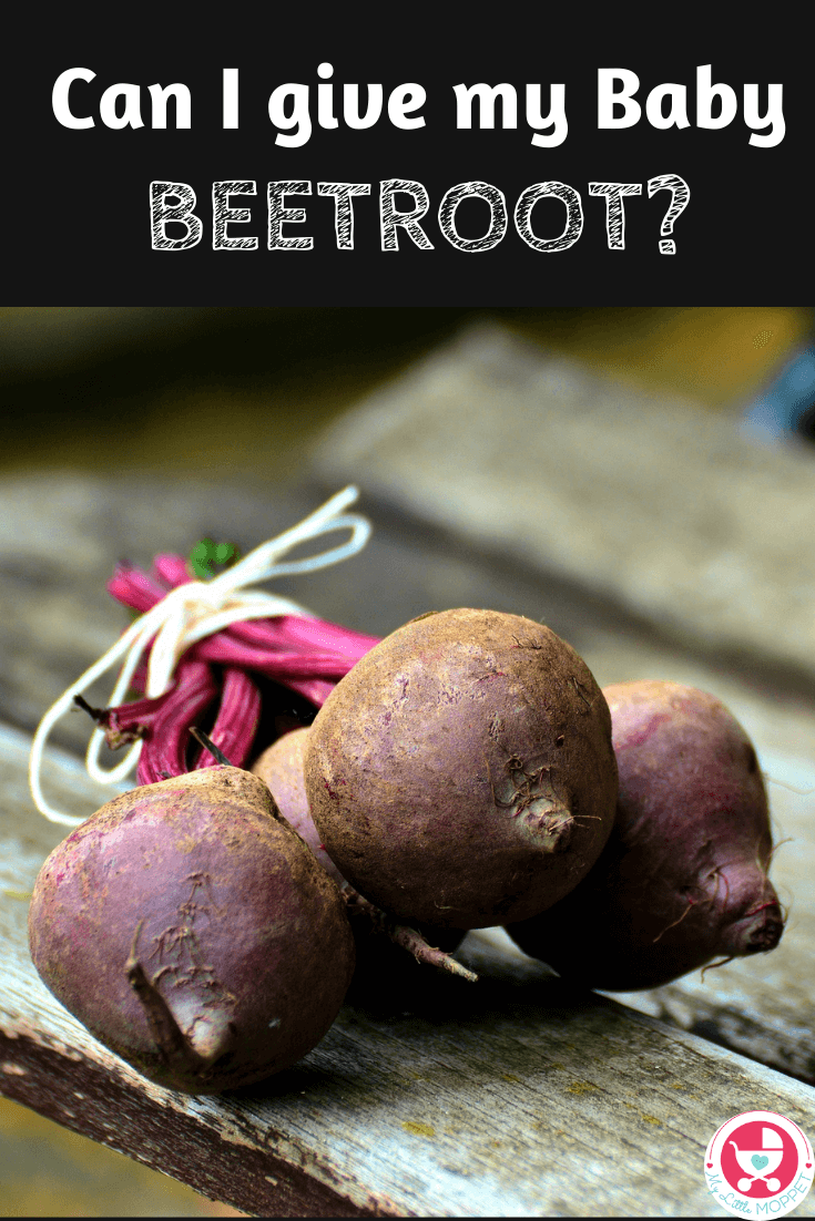 Beets are highly nutritious, not to mention gorgeous! They can uplift any dish you add them to, but I'm sure you're asking: Can I give my Baby Beetroot?