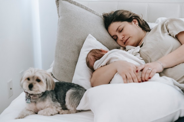 Postpartum hair loss is a normal occurrence, and one that goes away with time. However, you can use these tips to reduce its impact.