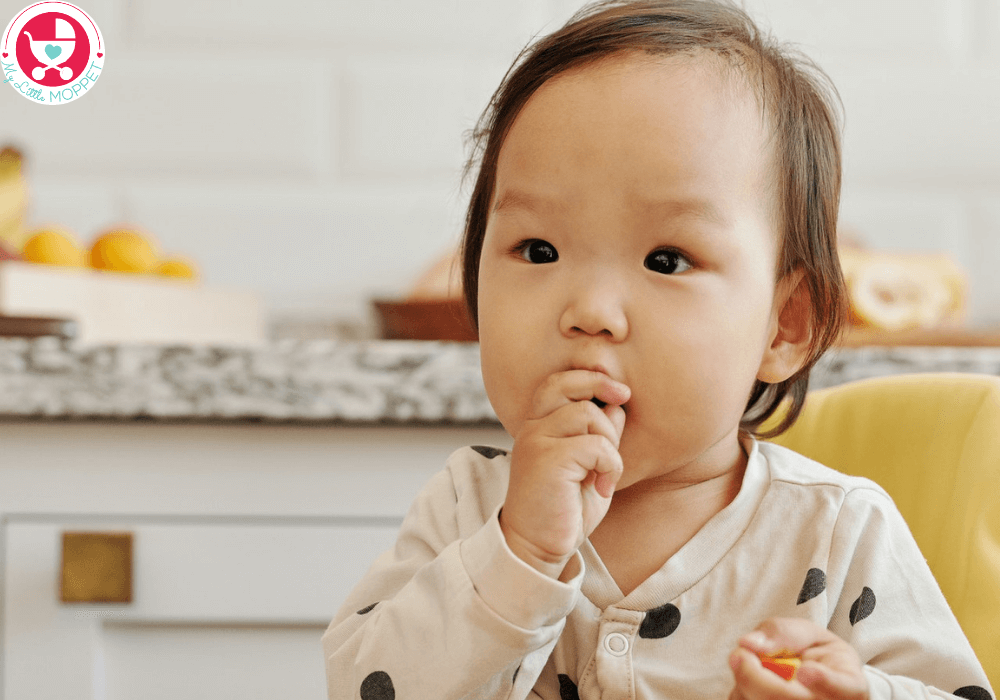 Everything You Need To Know About Zinc Drops for Infants forbabies